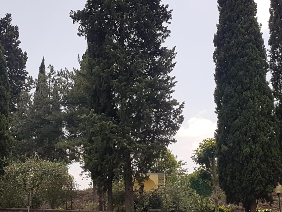 Piccolo Poggio Apartments فلورنس المظهر الخارجي الصورة